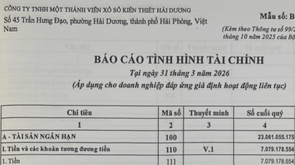 Báo cáo tài chính Quý 1-năm 2026