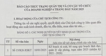 Báo cáo thực trạng quản trị và cơ cấu tổ chức 6 tháng đầu năm 2025