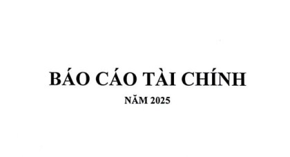 Báo cáo tài chính năm 2025