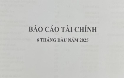 Báo cáo kết quả hoạt động kinh doanh giữa niên độ 6 tháng đầu năm 2025