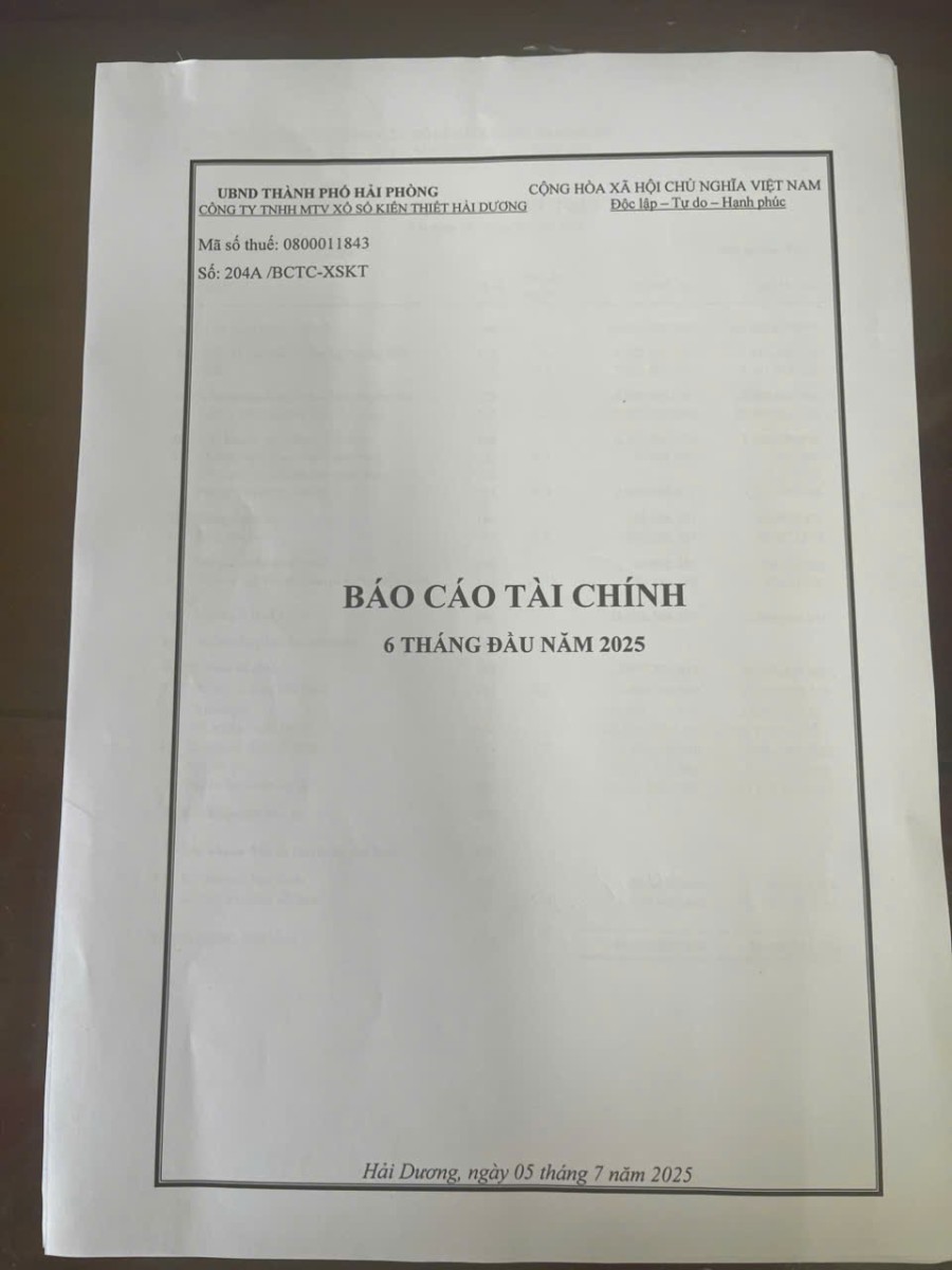 Báo cáo tài chính 6 tháng đầu năm 2025
