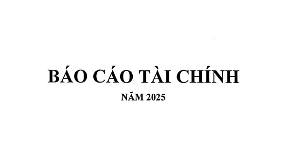 Báo cáo tài chính năm 2025