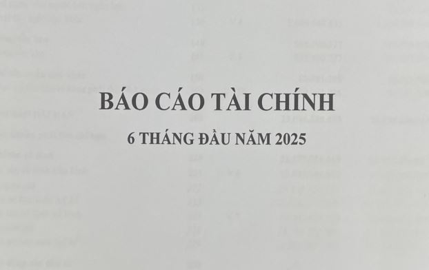Báo cáo kết quả hoạt động kinh doanh giữa niên độ 6 tháng đầu năm 2025